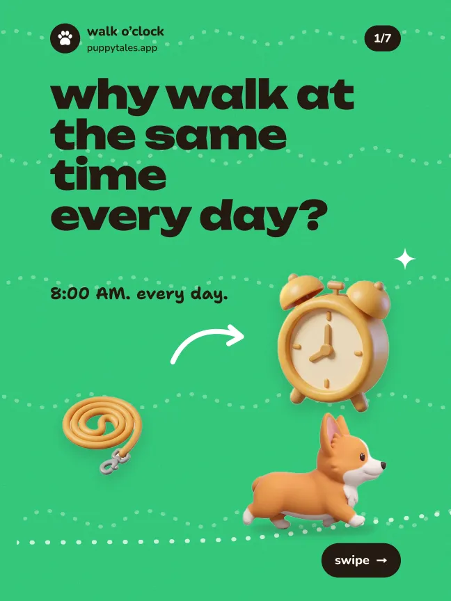 why walk at the same time every day?