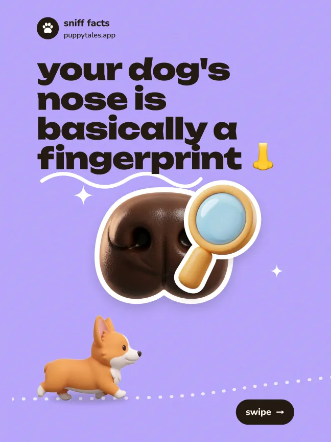your dog’s nose is basically a fingerprint