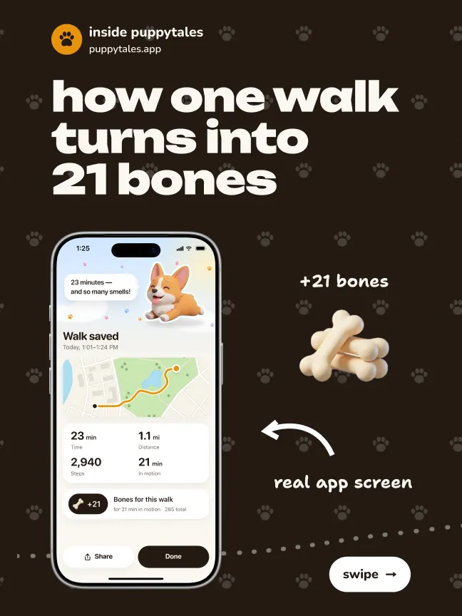 how one walk turns into 21 bones